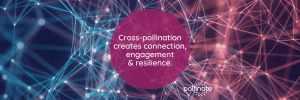 Cross-pollination newsletter blog banner
