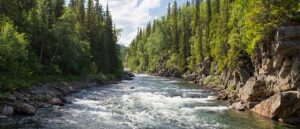 MUFG River Thumbnail