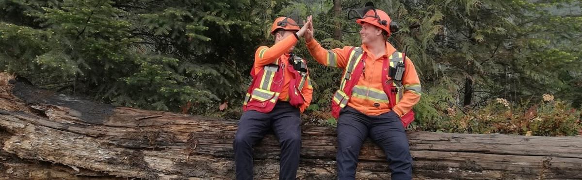 Two forest workers sitting on a log high fiving.