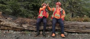 PLT Case Study Thumbnail