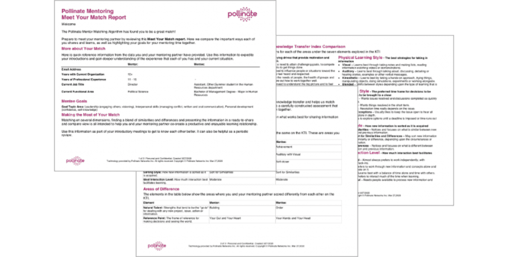 PLT Meet Your Match Report for mentoring pair.