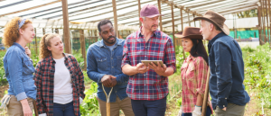 farming peer group feature image