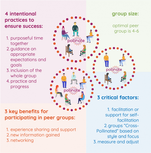 biz case for peer groups